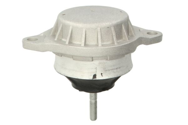 Опора, двигун RH11-0000 REINHOCH #1