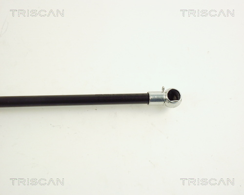 Газовая пружина, крышка багажник 8710 29262 TRISCAN #2