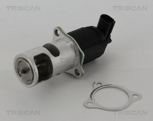 Клапан возврата ОГ, TRISCAN 8813 25005 Клапан возврата ОГ, TRISCAN 8813 25005