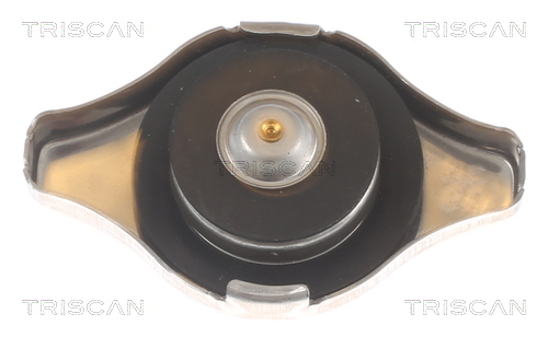 Запірна кришка, радіатор 8610 17 TRISCAN #1