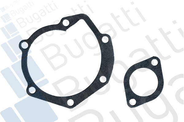 Водяной насос, охлаждение двигателя PA0195 BUGATTI #1