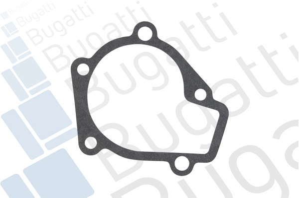 Насос охолоджувальної рідини, охолодження двигуна PA10304 BUGATTI #1