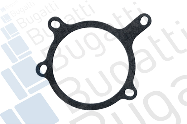 Водяной насос, охлаждение двигателя PA6004 BUGATTI #1