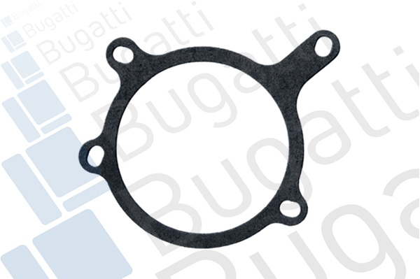 Водяной насос, охлаждение двигателя PA6009 BUGATTI #1