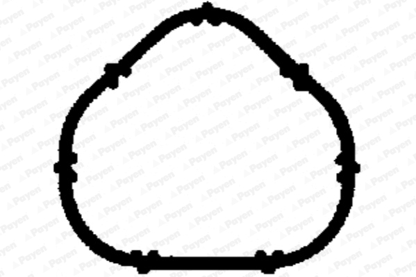 Ущільнення, впускний колектор   JD5885   PAYEN