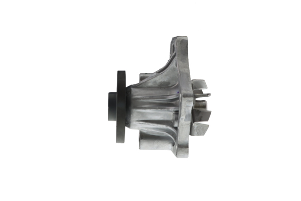 Водяной насос, охлаждение двигателя WPTS-008 AISIN #1