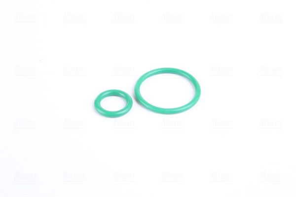 Компрессор, кондиционер 89513 NISSENS #5