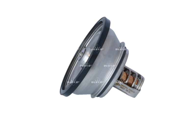 Термостат, охолоджувальна рідина 725013 NRF #1