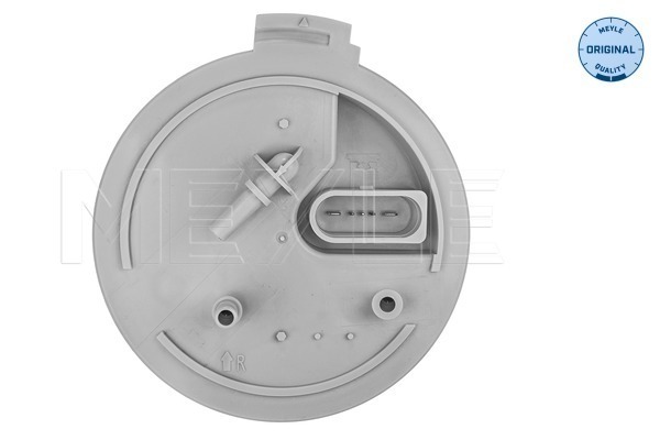 Вузол подачі палива 100 919 0092 MEYLE #1