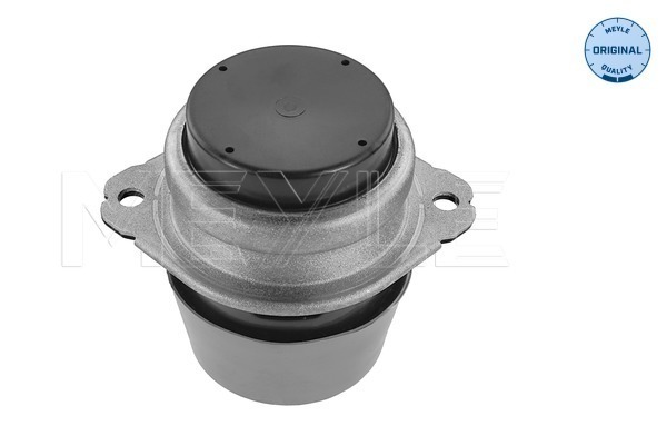 Подвеска, двигатель 100 199 0185 MEYLE #1