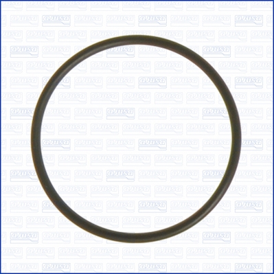 Ущільнення, впускний колектор   16054100   AJUSA