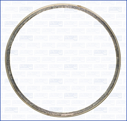 Уплотнительное кольцо, труба выхлопного газа   19006600   AJUSA